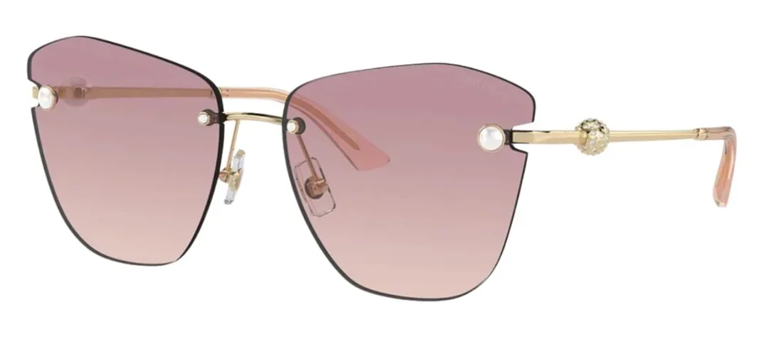 Jimmy Choo 4004HB