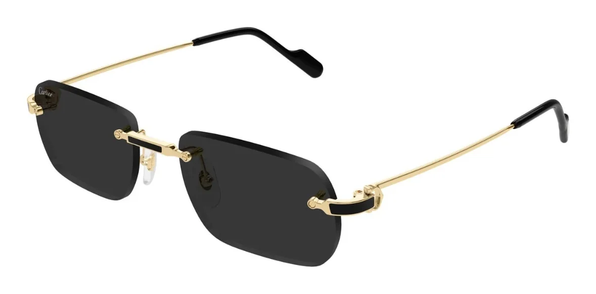 Cartier 0498S
